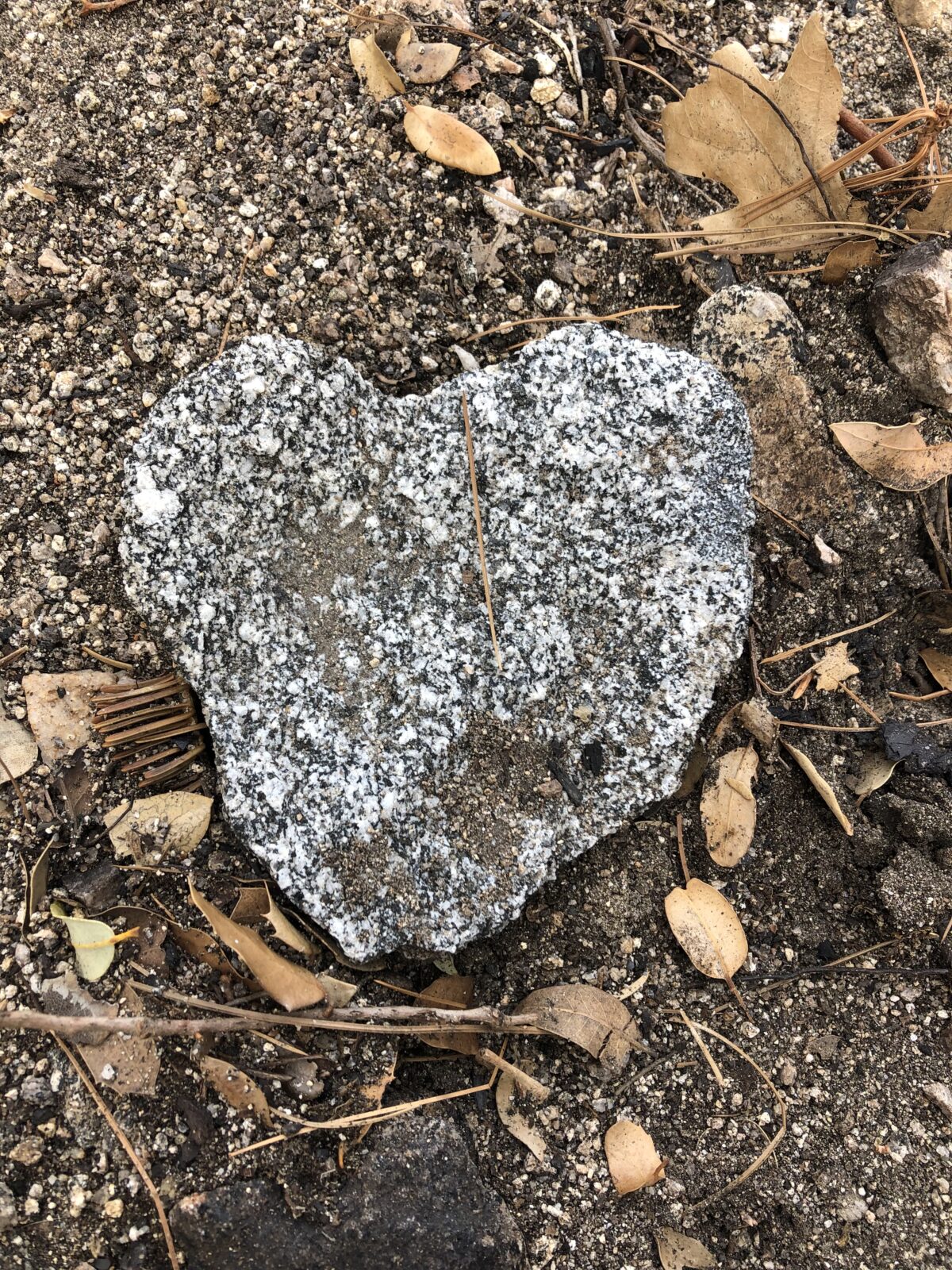 Nature Heart Rock